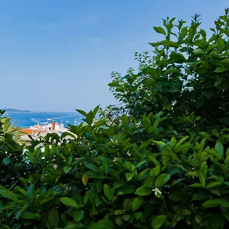 Bokan * Hvar Town